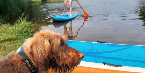 Blockhaus Bärenbüsch mit Klimaanlage und eigenem Grillkamin