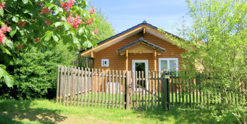 Ferienhaus Sonnebüsch - Urlaub mit Hund in Brangs Hundeparadies Eifel in Jünkerath