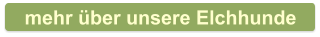 mehr über unsere Elchhunde