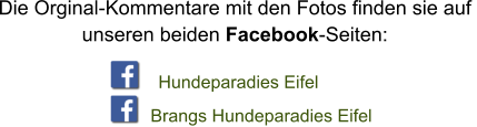 Die Orginal-Kommentare mit den Fotos finden sie auf  unseren beiden Facebook-Seiten: Hundeparadies Eifel Brangs Hundeparadies Eifel
