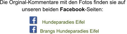 Die Orginal-Kommentare mit den Fotos finden sie auf  unseren beiden Facebook-Seiten: Hundeparadies Eifel Brangs Hundeparadies Eifel