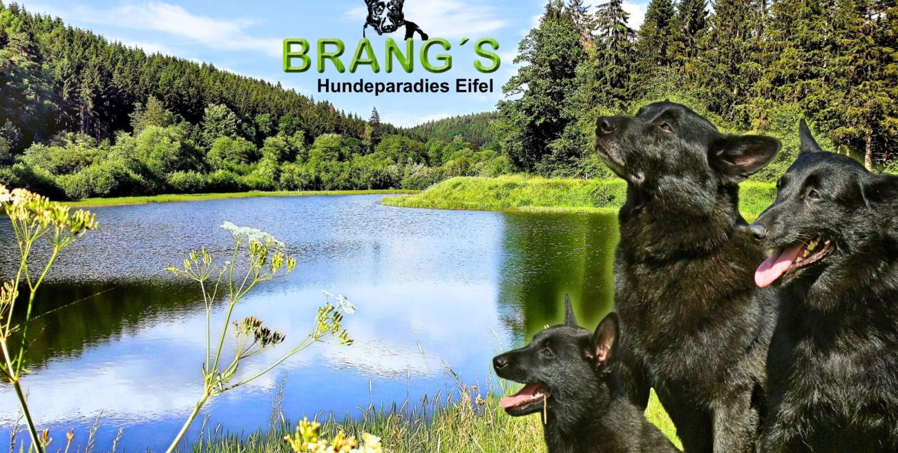 Traumhafte Eifel-Landschaft für Wanderungen im Urlaub mit Hund