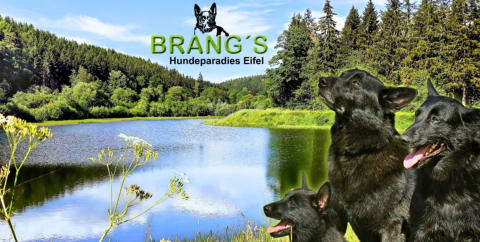 Traumhafte Eifel-Landschaft für Wanderungen im Urlaub mit Hund