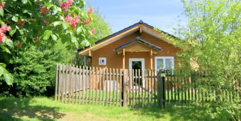 Ferienhaus Sonnebüsch - Urlaub mit Hund in Brangs Hundeparadies Eifel in Jünkerath