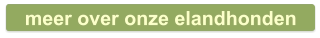 meer over onze elandhonden