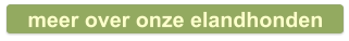 meer over onze elandhonden