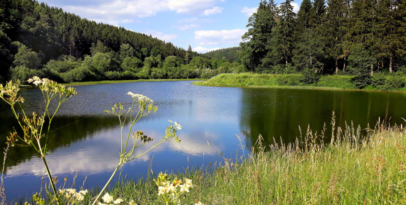 Stausee in Jünkerath auch zum Baden im Urlaub mit Hund