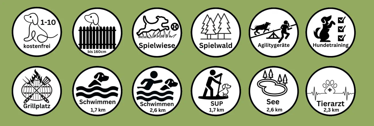 Was kann man alles unterbehmen in Brangs Urlaub mit Hund