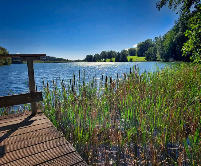 Stausee in der Eifel mit eigenem Hundestrand